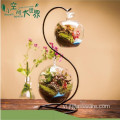 Trang trí nhà bằng kính Terrarium có đế